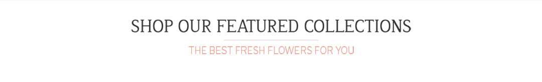 Floral Supplies Online Sep 2024   Foesorfeaturedcol 